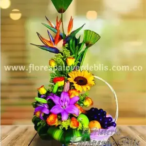 RAMO SEMIEXOTICO FRUTAL.